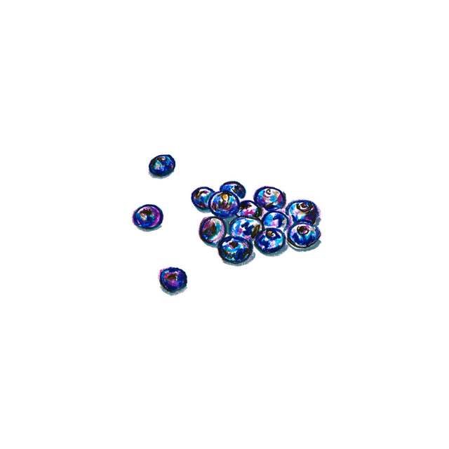 blueberry.jpeg